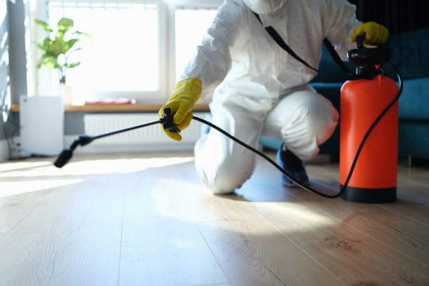 Reliable Biohazard contractor in Morongo Valley, CA by Dulley Family Biohazard Services